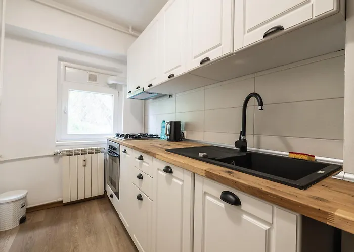 Apartman Modern & Cozy - Near Herastrau Park Bukarest
