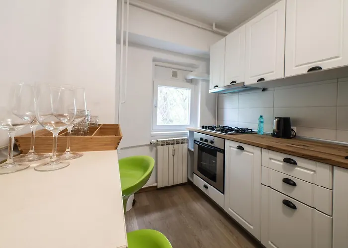 Modern & Cozy - Near Herastrau Park דירה בוקרשט