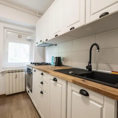 Lägenhet Modern & Cozy - Near Herastrau Park Bukarest