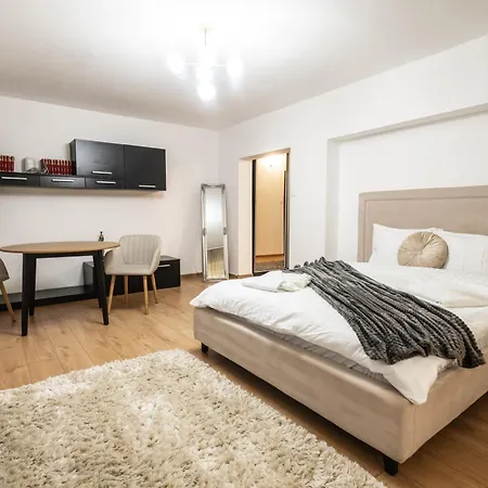 Lejlighed Modern & Cozy - Near Herastrau Park Bukarest